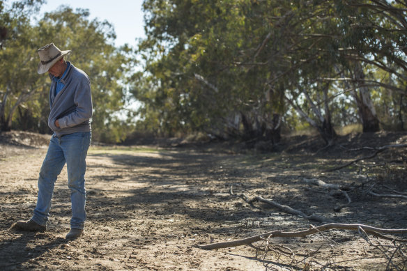 Drier time: Garry Hall standing in the dry Macquarie River at his property in the Macquarie Marshes region of NSW. Some 1000 million litres is currently flowing down the river at this spot each day.