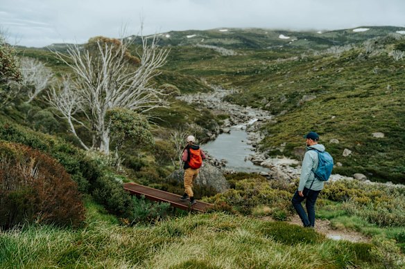  Guthega to Charlotte Pass trail.