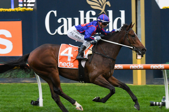 Superstar horse Ayrton is likely to favour the Golden Eagle over the Cox Plate.