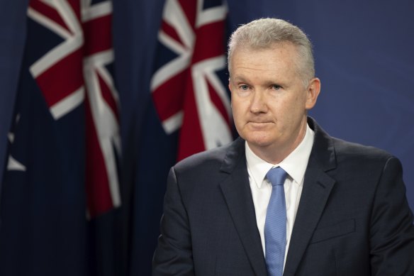 Workplace Relations Minister Tony Burke. 