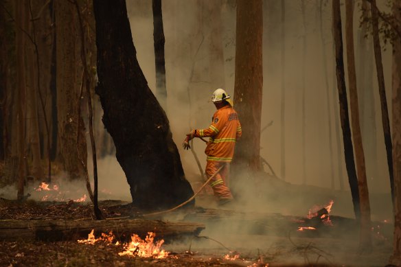 A Rural Fire Service crew work to extinguish a fire at Mogendura, near Moruya on Friday.