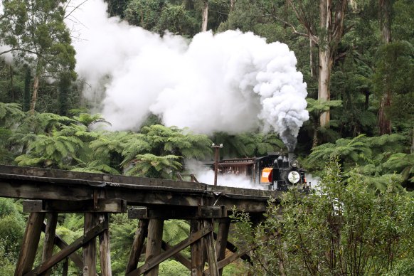 The Puffing Billy tourist train steams through the Dandenongs.