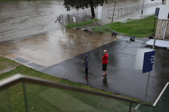 People look at the rising Parramatta River near the Powerhouse Museum.