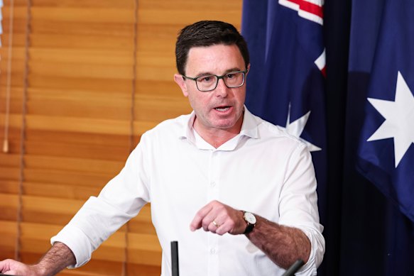 Nationals leader David Littleproud.