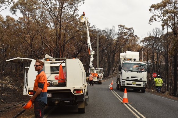 Endeavour Energy staff cut  branches of damaged trees caused by the Green Wattle Creek fire. 