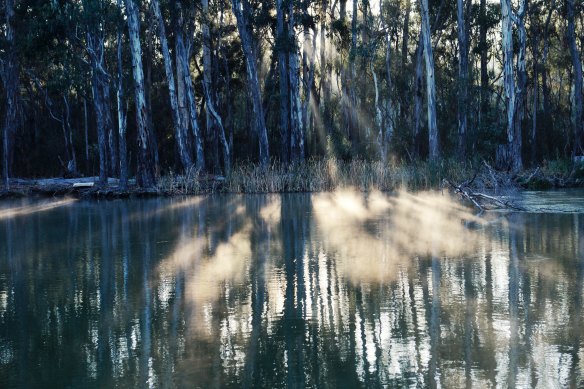 The Murray Valley National Park turns out to be among the fastest growing in popularity in the NSW in terms of visitation numbers.