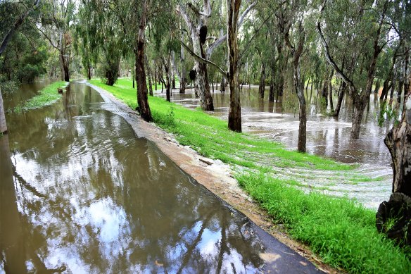 The Murray River has surpassed the flooding in Echuca of 1993.