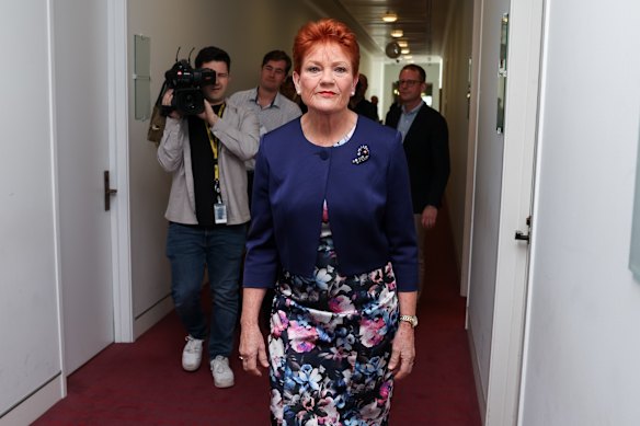 One Nation leader Pauline Hanson broke the political consensus that higher tobacco taxes are better. 