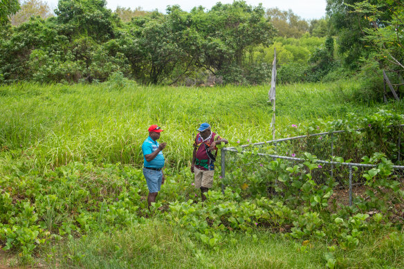 This area used to be cultivated for cassava, yam and taro, but has been rendered unusable by sea water.