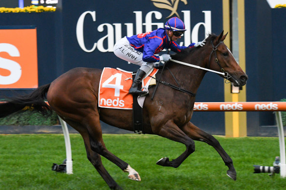 Superstar horse Ayrton is three from three and en route to the Brisbane winter carnival.