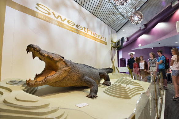 The “Sweetheart” display at the Museum and Art Gallery of the Northern Territory. 