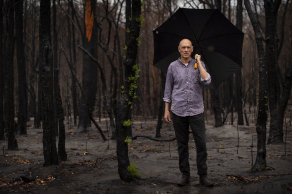 Peter Garrett in bushland near his property in Kangaroo Valley on Friday.