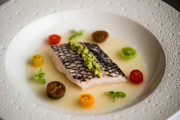 Steamed black bass at Le Bernardin restaurant, New York.