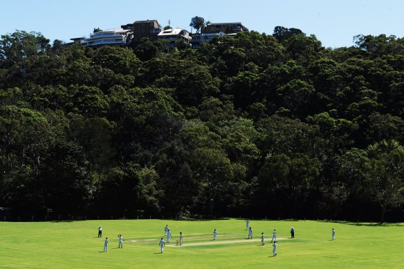 Cricketers enfolded in shades of green at Tunks Park.