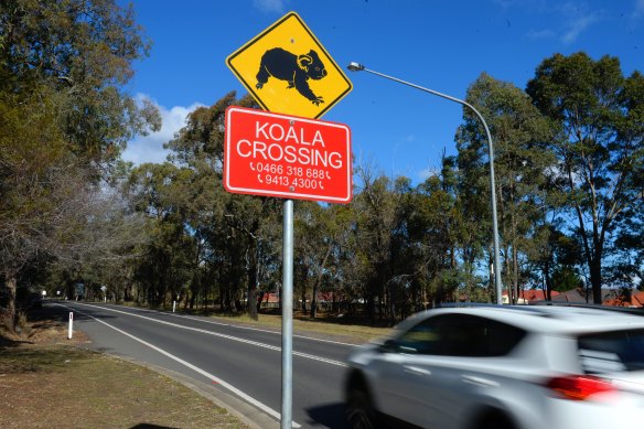 Despite concerns about lack of infrastructure and the threat to a local koala population, the Minns government approved a development at Appin.