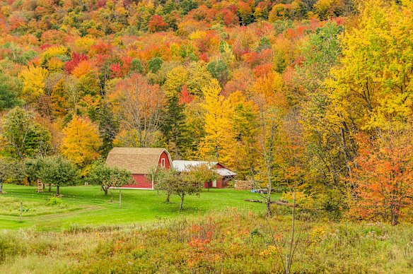 Vermont, in the United States, where Torrey Peters owns a tiny cabin.