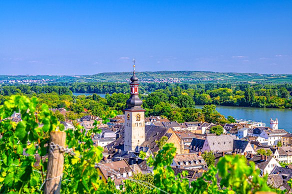 “What’s a good (but inexpensive) river cruise down the Rhine?”