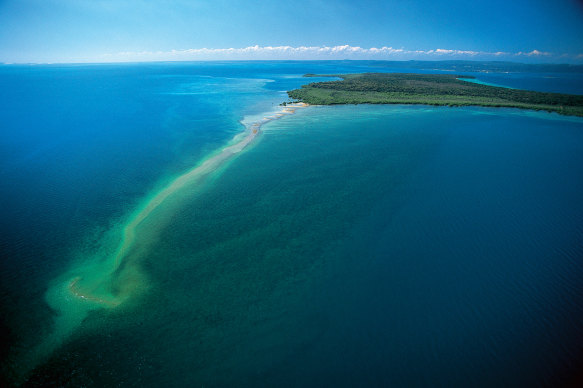 The picturesque Peel Island's dark history is explored in the new exhibition at the State Library of Queensland.