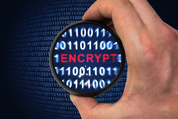 Cocoon Data hires MA Moelis to sell secure-file-sharing business