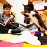Want to lift your children’s reading skills? Get them to read to kittens