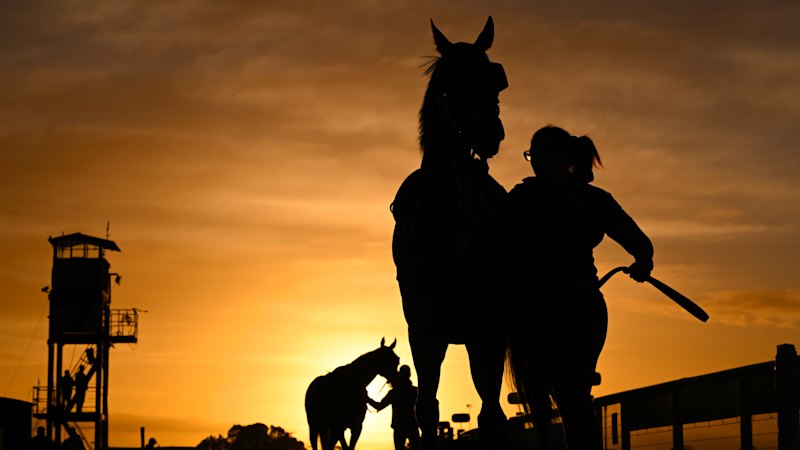 Former cricket star Greatbatch runs 50-1 horse Asterix in Caulfield Cup (sport) — The Age – Sport