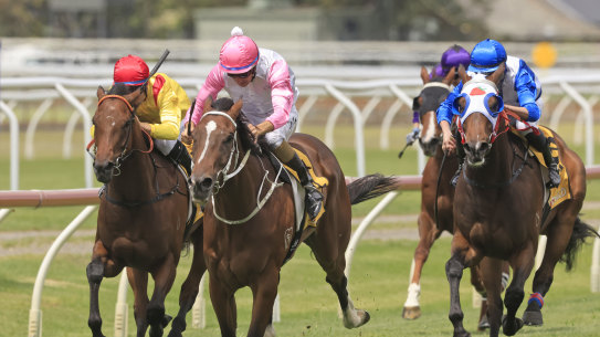 Kerry Parker thinks Tampering will appeciate the drop in weight in the Big Dance Qualifier at Randwick on Saturday. 