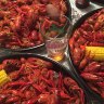 Crawfish