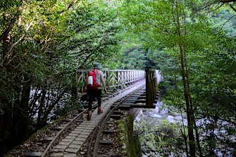 Stunning Japanese hike is like stepping into an (animated) movie