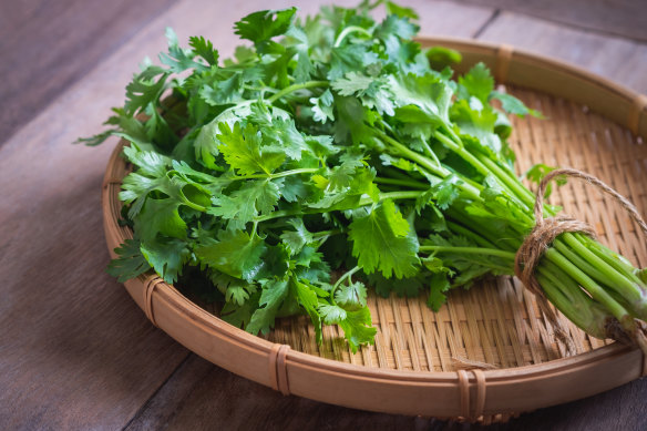 Add coriander for a burst of flavour.

