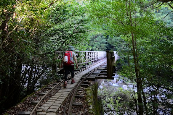 Storybook bridge on the trail.