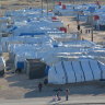 ‘The fear is palpable’: Australian women and children trapped in Syria afraid for their lives