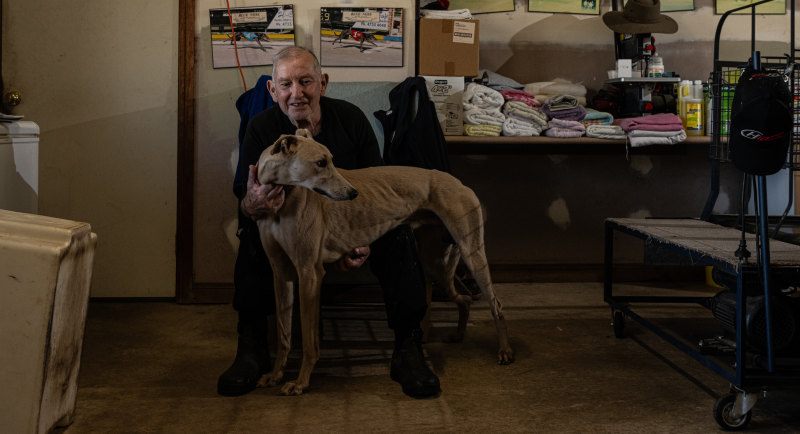 ‘You have to love your dogs to do it’: The passion of a greyhound trainer