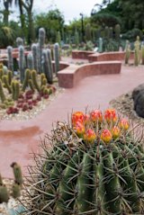 A celebration of the Botanic Gardens’ 175th-anniversary will be held in the new arid garden.