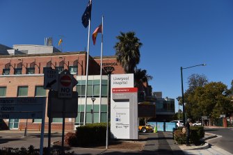 Australia Covid Live Updates Nsw Records 319 New Cases Victoria Records 29 And Queensland Records 13