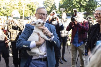 Opposition Leader Anthony Albanese with a dog that joined his press co<em></em>nference at the Addison Road Community Centre.