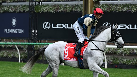 Saint George is out of the Melbourne Cup after failing a mandatory pre-race scan.