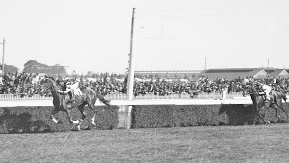 Phar Lap passes the finish post at Randwick races, Sydney, on October 9, 1929.