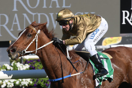 Final run: Maddison Avenue will look to lead all the way again at Rosehill.