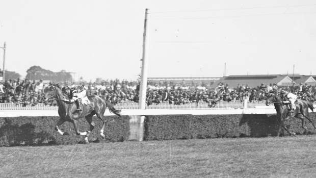 Phar Lap passes the finish post at Randwick races, Sydney, on October 9, 1929.