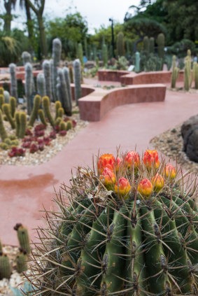 A celebration of the Botanic Gardens’ 175th-anniversary will be held in the new arid garden.