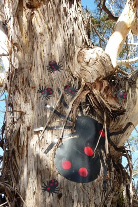 Beetles adorn a tree at the Warri rest area beside the Kings Highway.