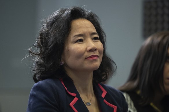 Journalist Cheng Lei at a press conference after the incident.