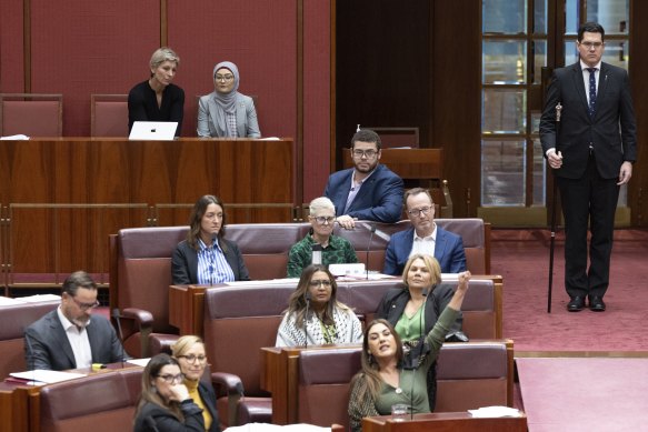 Senator Fatima Payman (in back, in grey) sits at the back of the chamber during a division on amendments to a motion to recognise the State of Palestine.
