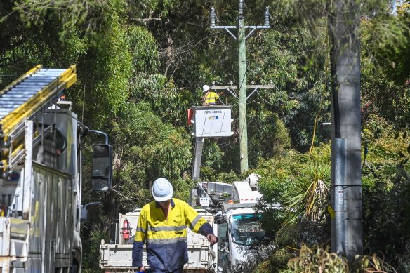 Ausnet technicians repairing power lines in Emerald.