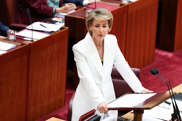 Liberal senator Michaelia Cash, in the Senate on Wednesday, will present a bill on staffing allocations.