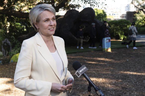 Environment Minister Tanya Plibersek