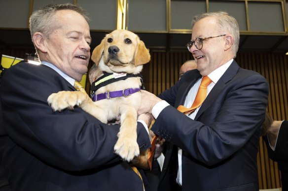 PM Anthony Albanese (right) has given Bill Shorten the difficult challenge of improving the NDIS and making it run more efficiently.