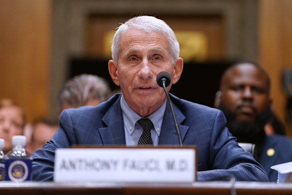 Il dottor Anthony Fauci appare davanti alla commissione per la sicurezza interna e gli affari governativi del Senato in Campidoglio.