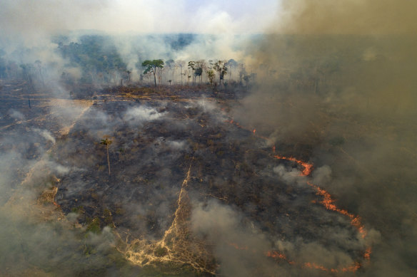 Large swathes of the Amazon rainforest have burnt in recent years, often due to farming and land-clearing. Scientists fear too much fire in the "lungs of the planet" could trigger a tipping point of irreversible landscape change from jungle to savannah. 