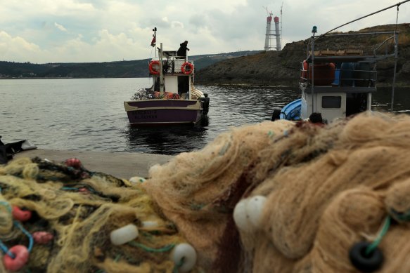 Turkish fishermen say the mucus is killing off the fish and affecting their livelihoods. 